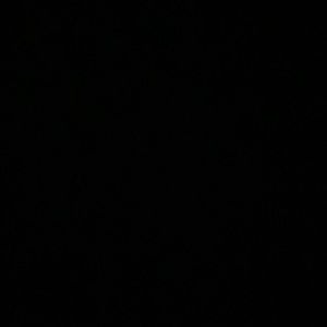 Meet your Posher, Sasha